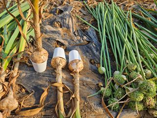 한은석님의 자유주제 · 자유게시판 작성글 사진