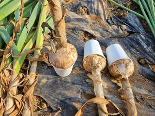 한은석님의 자유주제 · 자유게시판 작성글 사진