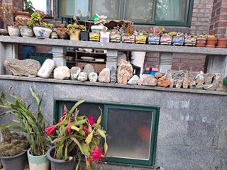 송오목님의 자유주제 · 자유게시판 작성글 사진