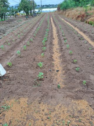 이진수님의 자유주제 · 자유게시판 작성글 사진