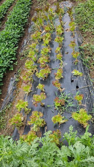 이원복님의 자유주제 · 사진전 작성글 사진