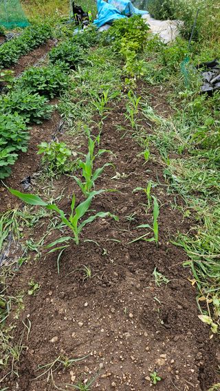 이원복님의 자유주제 · 사진전 작성글 사진