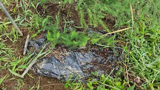 이원복님의 자유주제 · 사진전 작성글 사진