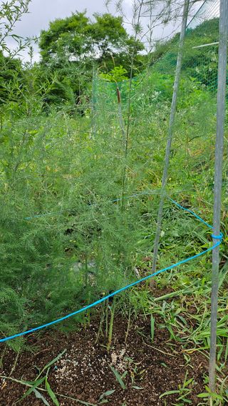 이원복님의 자유주제 · 사진전 작성글 사진