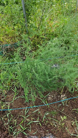 이원복님의 자유주제 · 사진전 작성글 사진