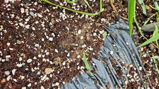 이원복님의 자유주제 · 사진전 작성글 사진