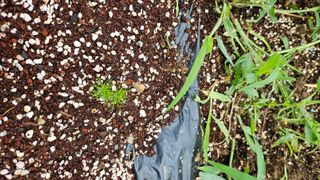 이원복님의 자유주제 · 사진전 작성글 사진