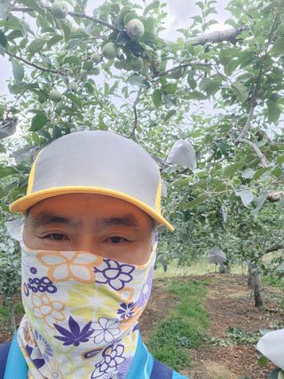 이용희 님의 사과 · 영농일지 작성글 사진