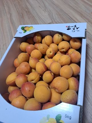 주동혁님의 기타작물 · 영농일지 작성글 사진