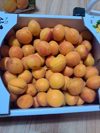 주동혁님의 기타작물 · 영농일지 작성글 사진