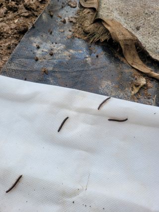 박기식 님의 자유주제 · 자유게시판 작성글 사진