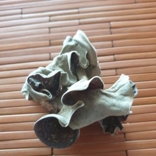 오스카님의 자유주제 · 자유게시판 작성글 사진