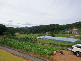 김근회님의 참깨 · 영농일지 작성글 사진