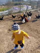 팜모닝 팜모닝·출석 게시글 이미지