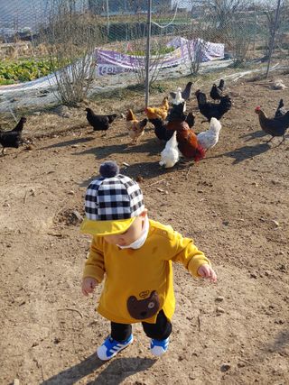 능주님의 팜모닝 · 출석 작성글 사진