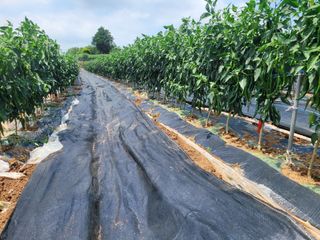 박수열님의 ☔️장마 대비 하셨나요? · 참여글 작성글 사진