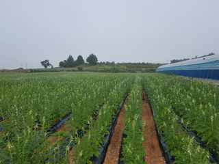 박수열님의 ☔️장마 대비 하셨나요? · 참여글 작성글 사진