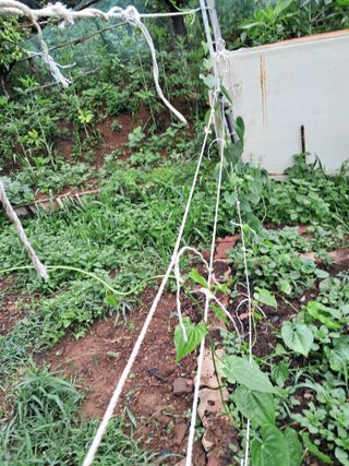 최한기님의 ☔️장마 대비 하셨나요? · 참여글 작성글 사진