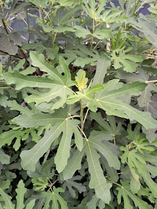 최한기님의 ☔️장마 대비 하셨나요? · 참여글 작성글 사진