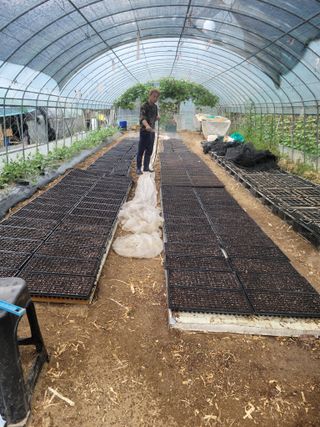 다소농원님의 자유주제 · 자유게시판 작성글 사진