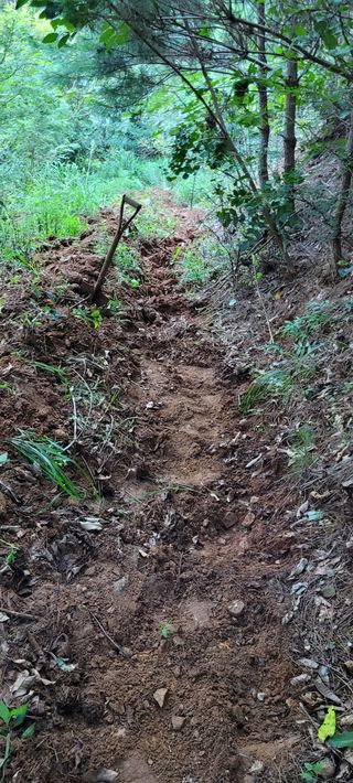 지재광님의 양배추 · 자유게시판 작성글 사진