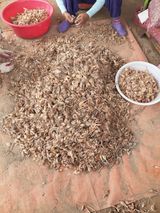 팜모닝 · 게시글 이미지