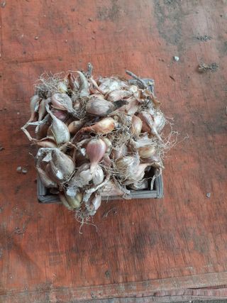 황석면님의 작성글 사진