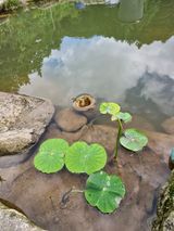 팜모닝 자유주제·자유게시판 게시글 이미지