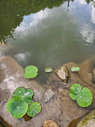 당근한개님의 자유주제 · 자유게시판 작성글 사진