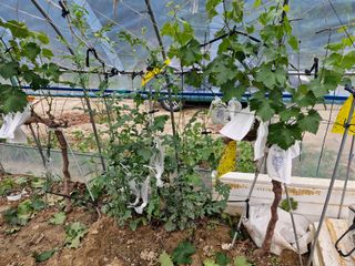 당근한개님의 자유주제 · 자유게시판 작성글 사진