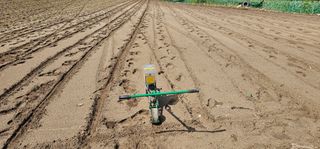 윤태희님의 콩 · 영농일지 작성글 사진