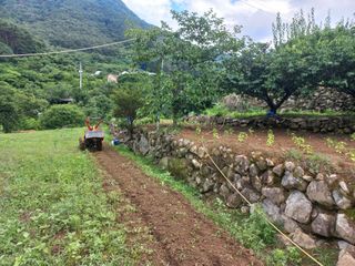 손 무현님의 들깨 · 영농일지 작성글 사진