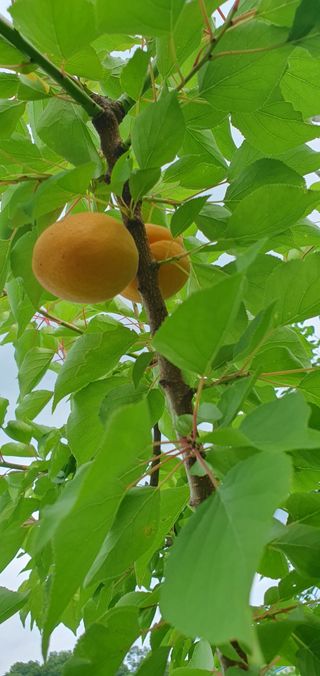 정응화님의 자유주제 · 자유게시판 작성글 사진