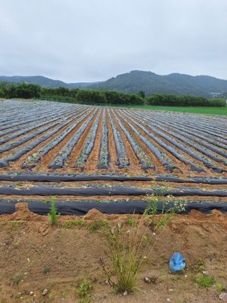 이청우님의 자유주제 · 자유게시판 작성글 사진