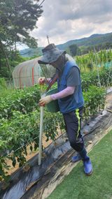 팜모닝 자유주제·자유게시판 게시글 이미지