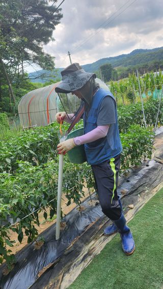 정산님의 자유주제 · 자유게시판 작성글 사진