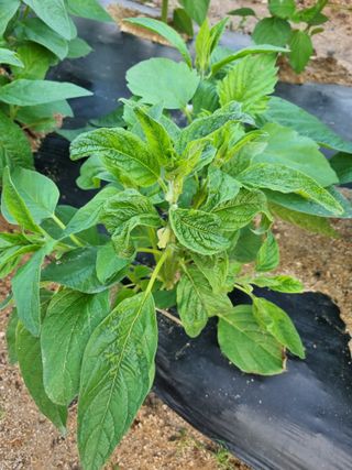 김현정님의 자유주제 · 자유게시판 작성글 사진