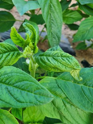 김현정님의 자유주제 · 자유게시판 작성글 사진