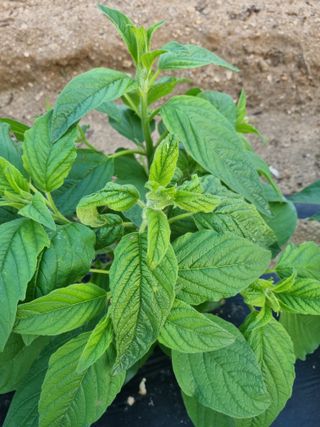 김현정님의 자유주제 · 자유게시판 작성글 사진