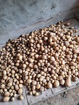 팜모닝 농사, 무엇이든 물어보세요!·참여글 게시글 이미지