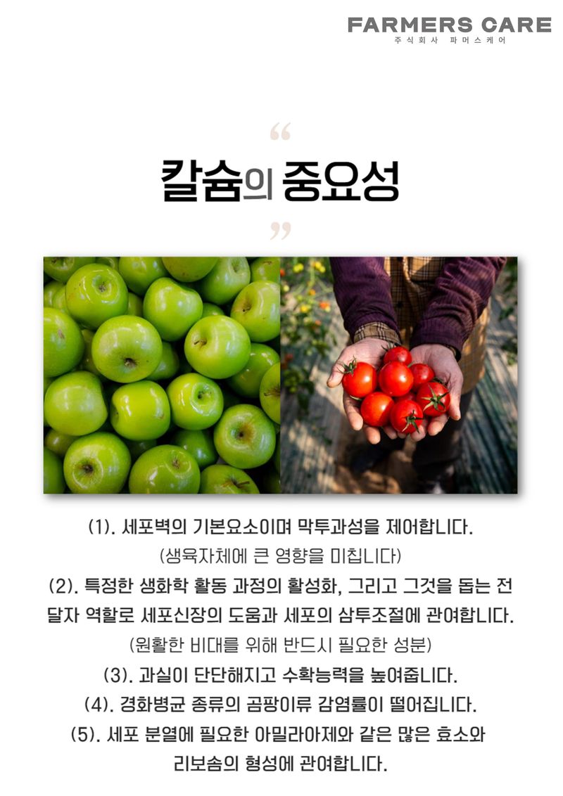 신탄진농약비료마트님의 장터 판매 상품 [칼슘플러스500ml 배추 고추 마늘 전용 칼슘 미량요소 비료 식물영양제] 첨부 사진