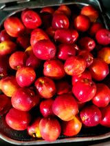 팜모닝 자유주제·사진전 게시글 이미지