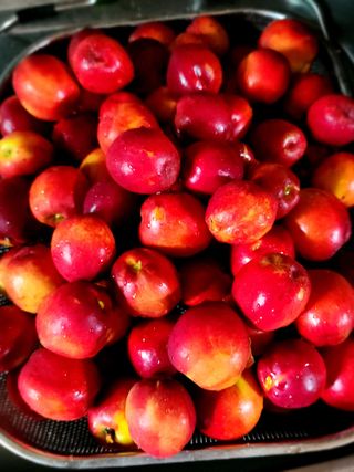 쏭이네농장(현자)님의 자유주제 · 사진전 작성글 사진