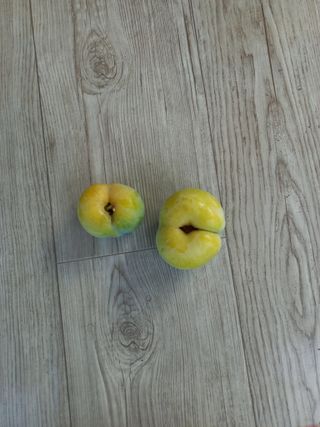 심무재 님의 농사, 무엇이든 물어보세요! · 참여글 작성글 사진
