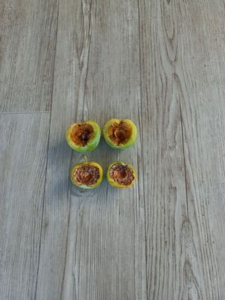 심무재 님의 농사, 무엇이든 물어보세요! · 참여글 작성글 사진
