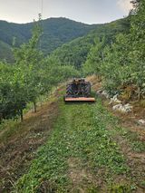 팜모닝 사과·영농일지 게시글 이미지