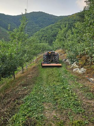 강병학님의 사과 · 영농일지 작성글 사진