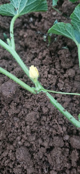 김홍겸님의 자유주제 · 자유게시판 작성글 사진