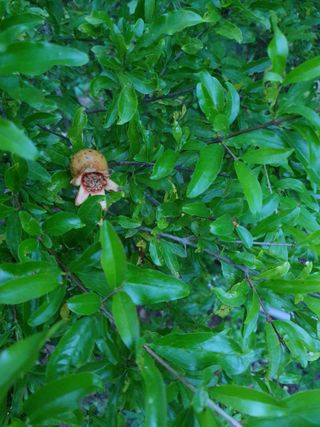 태안남면농부님의 자유주제 · 자유게시판 작성글 사진