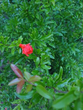 태안남면농부님의 자유주제 · 자유게시판 작성글 사진